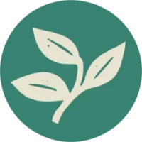 HOME - . Festival dei Cammini di Francesco